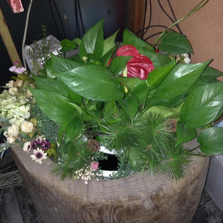 Itaewon Land Spa & Guesthouse سيول الغرفة الصورة